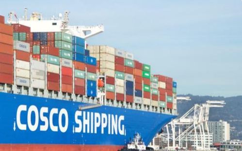 巨無霸中國物流集團成立，對貨運代理行業(yè)影響幾何