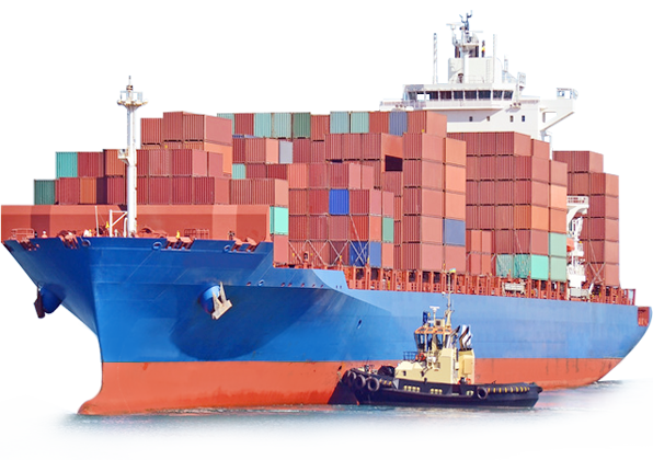 海通國際貨運 專業(yè)的貨運代理服務